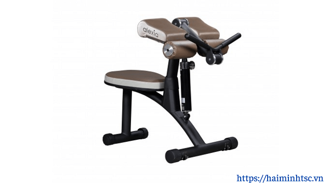 Máy tập cơ tay trước và cơ tay sau 01