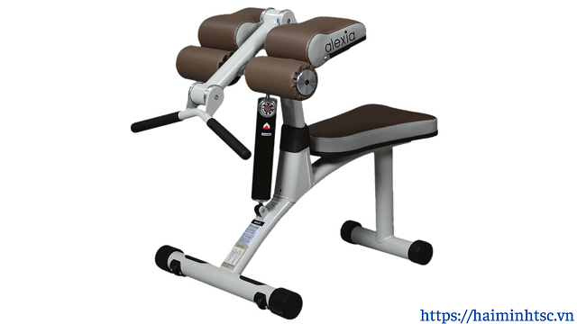 May_tap_co_tay_truoc_va_co_tay_sau_02 Máy tập cơ tay trước và cơ tay sau 02