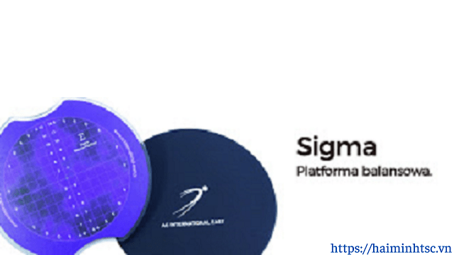 Thiết bị lượng giá tập thăng bằng Sigma Thiet bi luong gia tap thang bang Sigma 02 100x100 - Thiết bị lượng giá tập thăng bằng Sigma