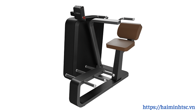 Máy tập cơ bụng 01