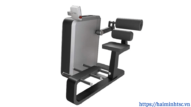 May_tap_co_lung_02 máy tập cơ lưng 02