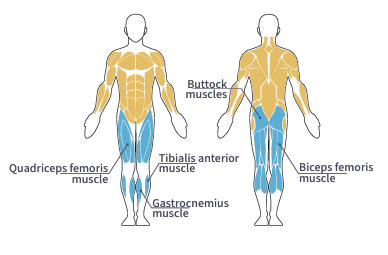 Screenshot_1735270017