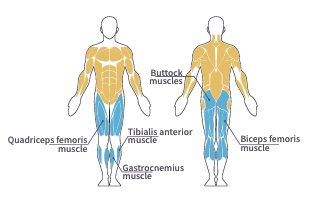 Screenshot_1735270228 Screenshot_1735270228