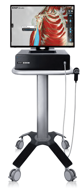 Screenshot_1735272084