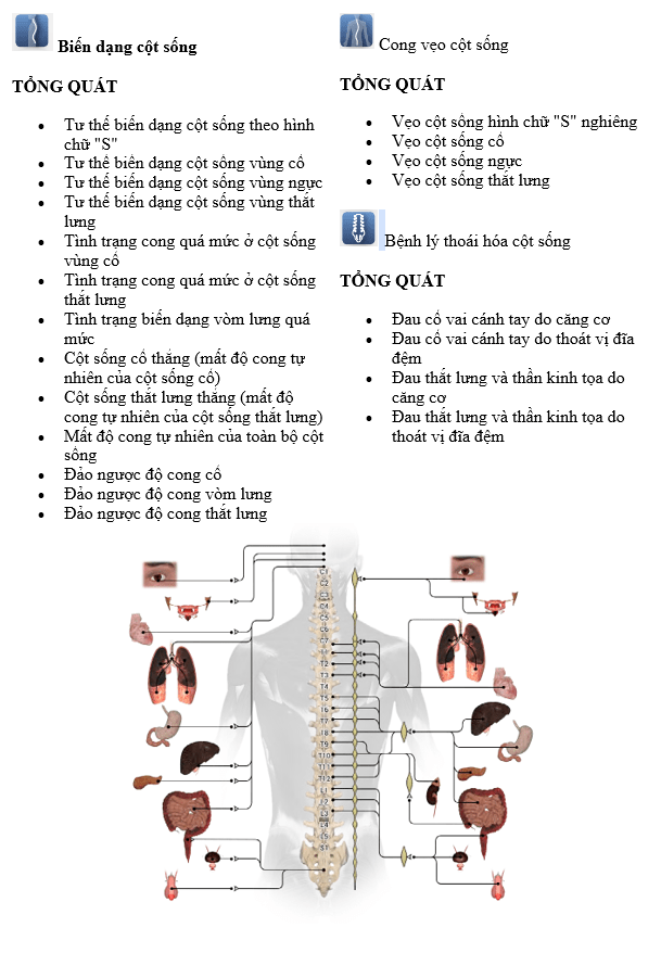 Máy điện trị liệu phản hồi thần kinh điện tử chuyên biệt cho cột sống cổ, thắt lưng screenshot 1735527708 - Máy điện trị liệu phản hồi thần kinh điện tử chuyên biệt cho cột sống cổ, thắt lưng